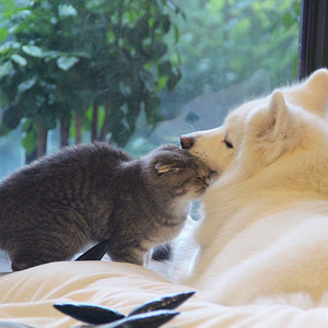 按摩精油和高潮精油区别
